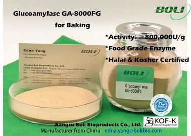 Il livello ha concentrato l'enzima GA - 8000FG 800000U/G della glucoamilasi della polvere per alimento Indusry